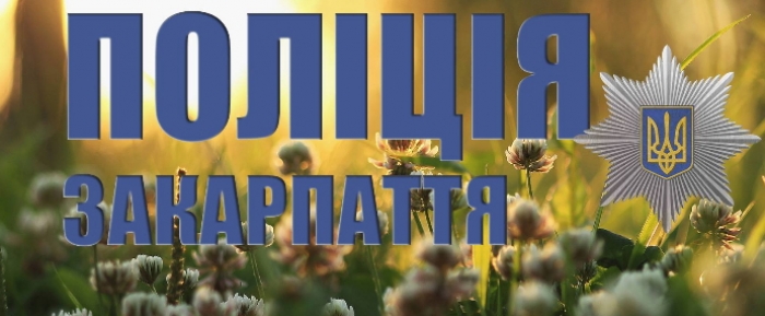 Багатодітний батько обікрав продуктову крамницю у Мукачеві