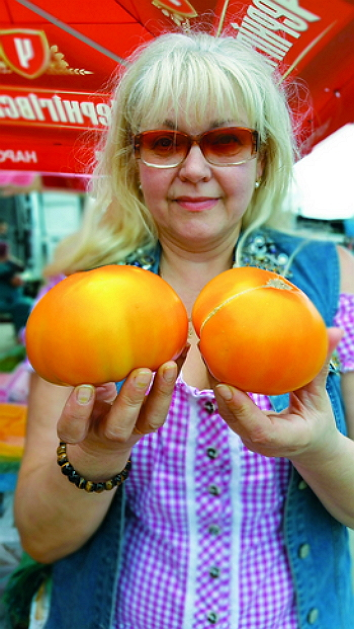 Як виростити томати-велетні? — Секрети закарпатки