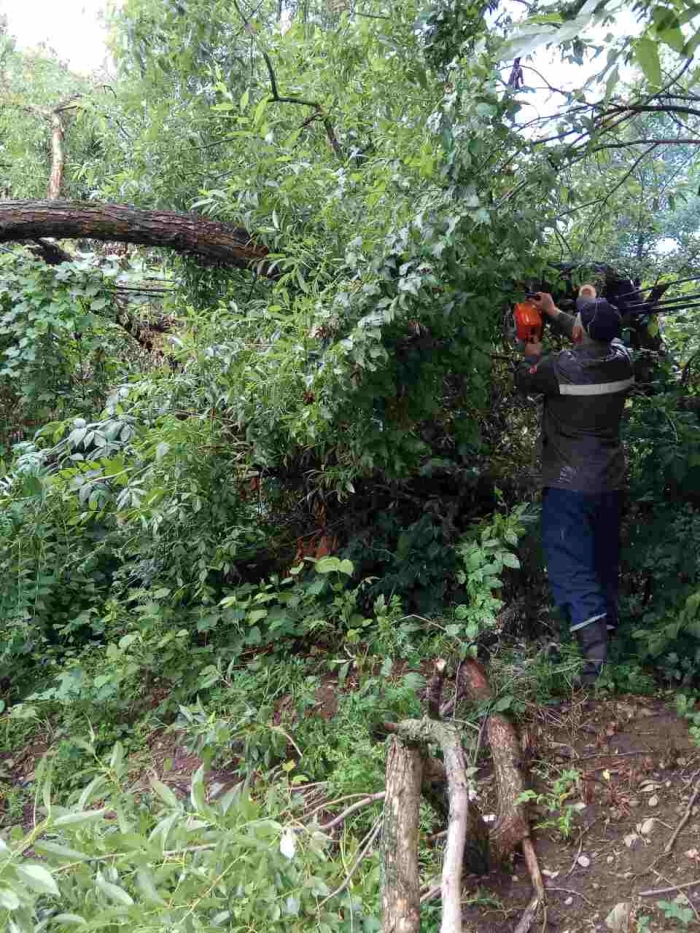 Як закарпатські рятувальники ліквідовують наслідки вчорашньої негоди