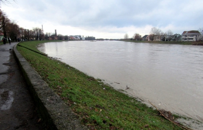 У Мукачеві досі шукають тіло 8-річного хлопчика, що потонув у Латориці