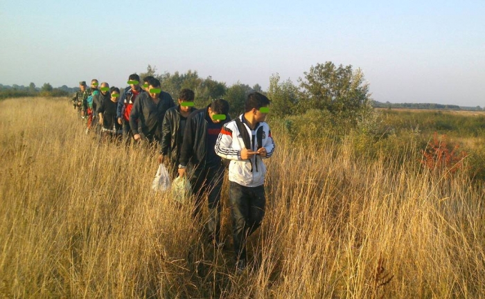 Поліція розпитує нелегалів хто допоміг їм перейти кордон на Великоберезнянщині