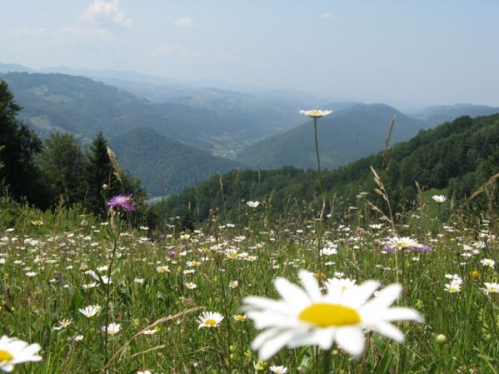 Синоптики обіцяють Закарпаттю на завтра  мінливу хмарність без дощу