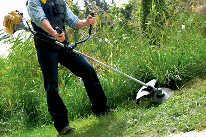 Що і де сьогодні роблять ужгородські комунальники