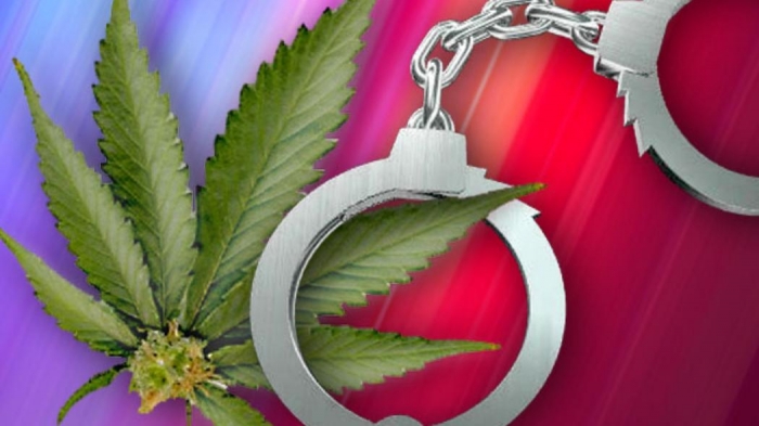 Депутат із спільниками збував особливо небезпечні наркотики на Закарпатті