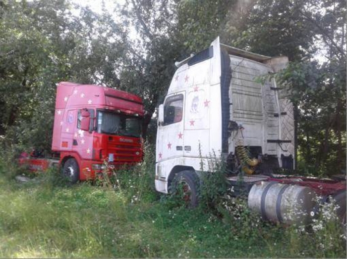 Іршавські поліцейські викрили квартет крадіїв