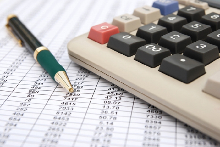 Закарпатська ДФС: нова форма довідки щодо подання декларації про майновий стан і доходи