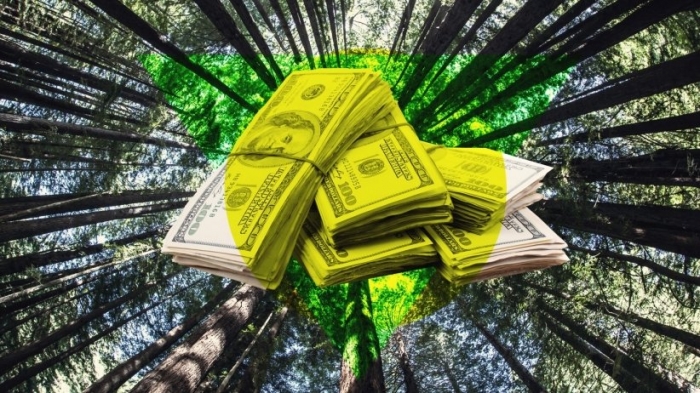 Робота лісівника – важка і відповідальна, тому й оплата має бути гідна