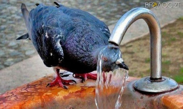 У середу на Закарпатті буде спекотно — до +35 градусів!