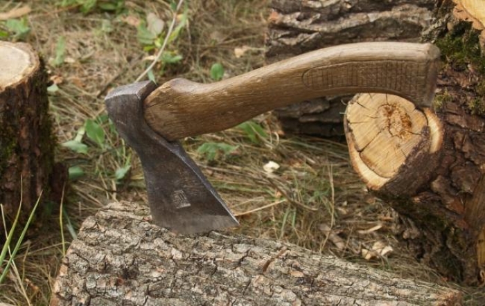 Закарпатець "намахав" сокирою на добрі три сотні тисяч гривень з "хвостиком"