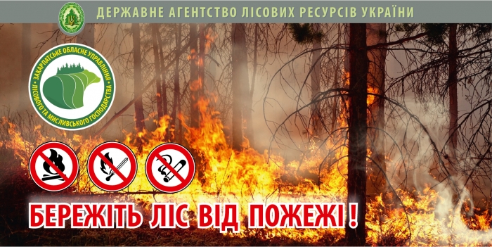 82-х порушників оштрафували закарпатські лісівники