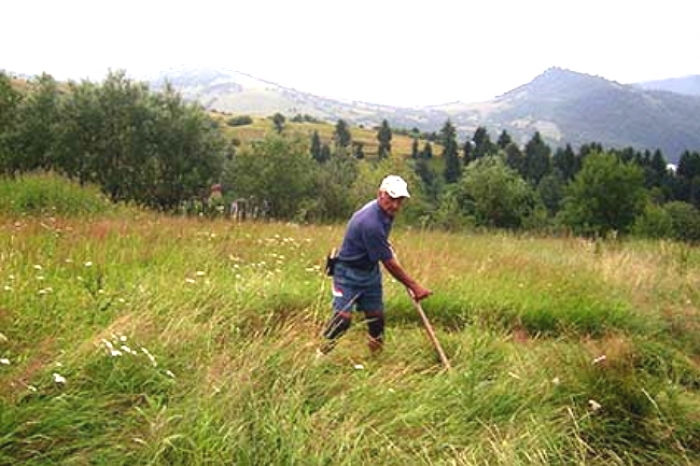 Закарпатський журналіст-горянин з косою дружить із юних літ...