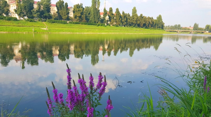 Закарпатські Ріка, Уж, Тиса, Латориця — в українському ТОПі найчистіших рік