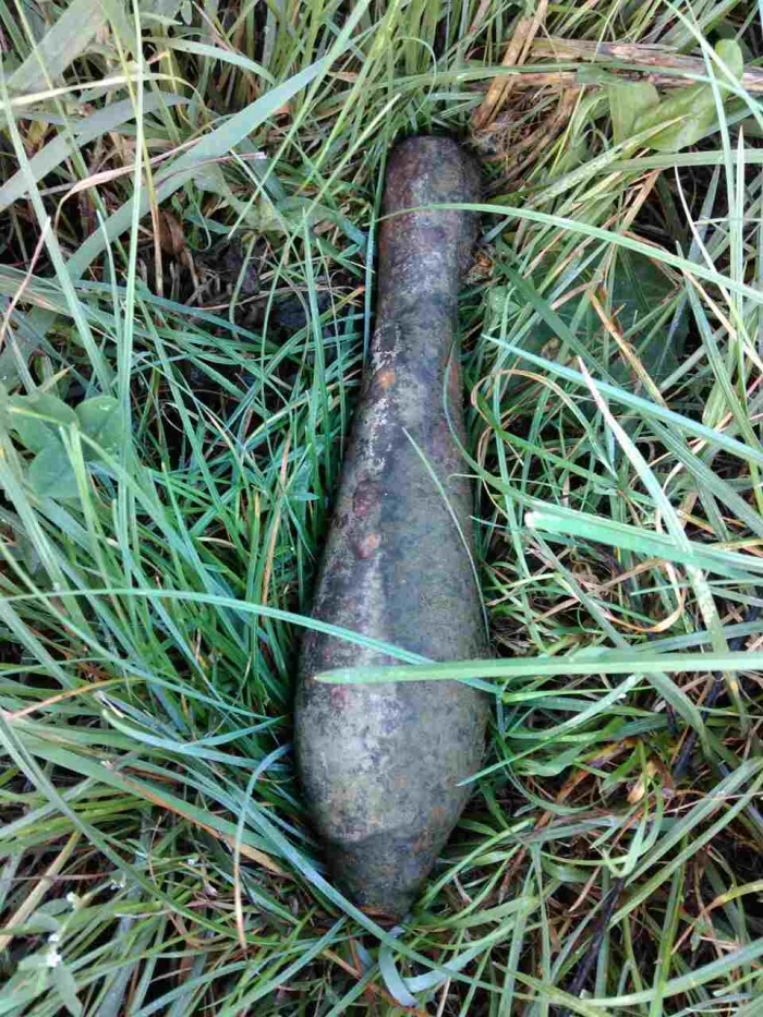 Рукотворні канонади на Закарпатті знешкодили