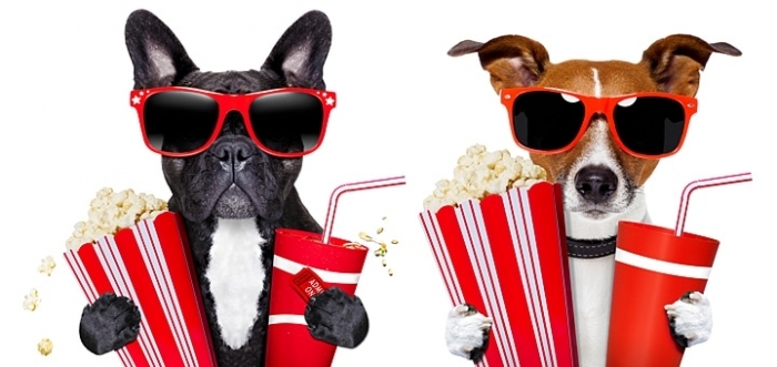 Троє щасливчиків цього тижня йдуть в "Доміон" на "шару"