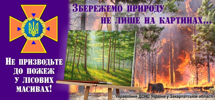 Рятувальники закарпатцям: виїжджаючи кудись до річки чи лісу, бережіть ліс від пожеж!