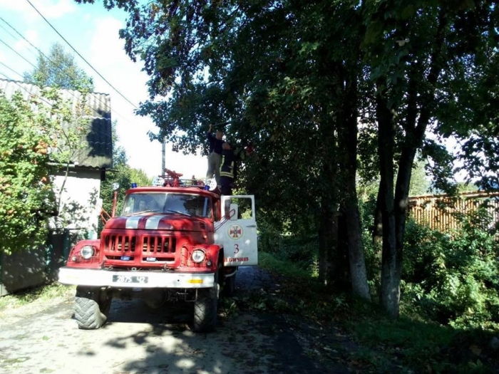 Внаслідок негоди не Рахівщині троє осіб отримали травми