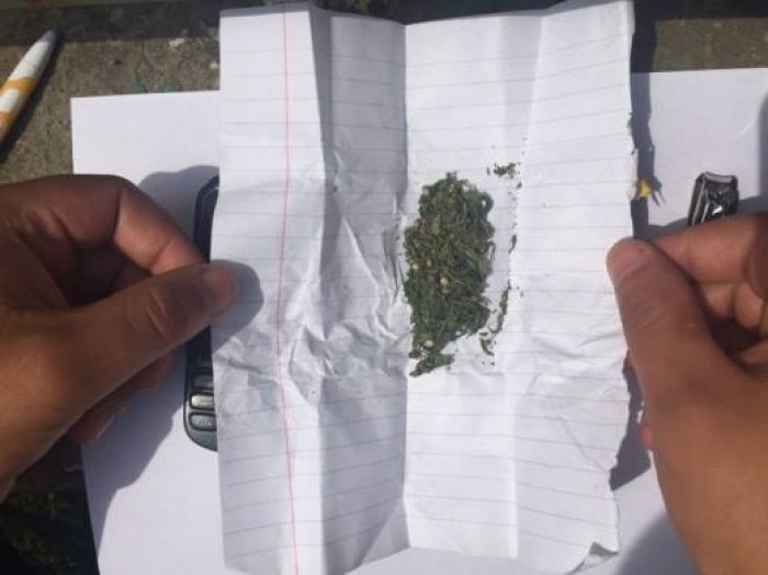 Судитимуть 19-річного юнака, котрий три місяці продавав марихуану біля дитячого санаторію на Ужгородщині