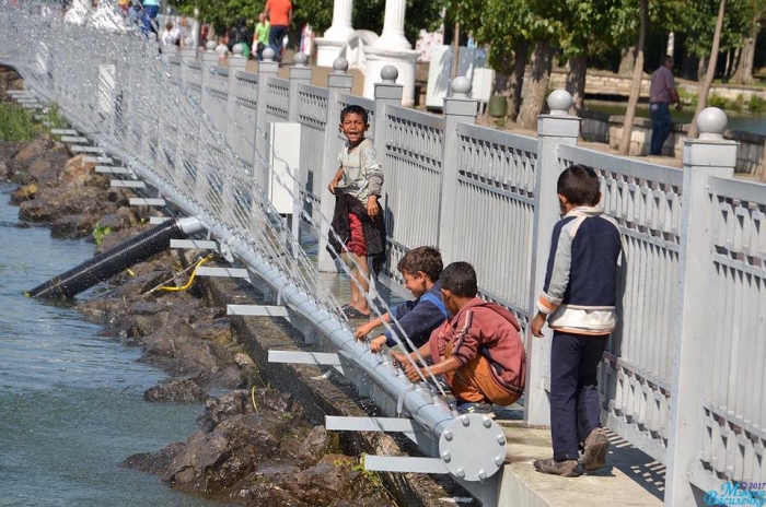 Чи були серед "фонтанних нападників" у Тернополі юні закарпатські роми?