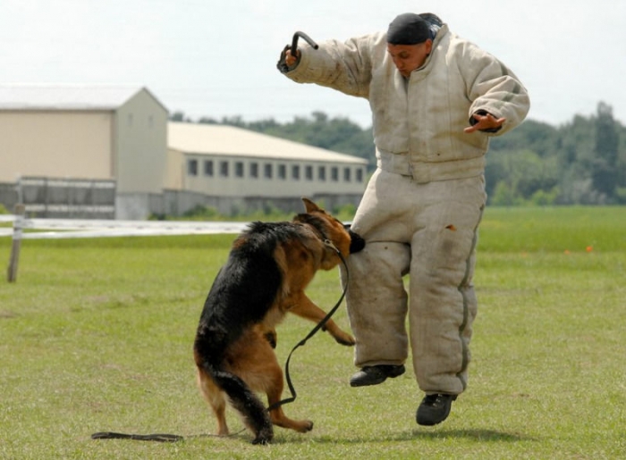 Фото з мережі Інтернет