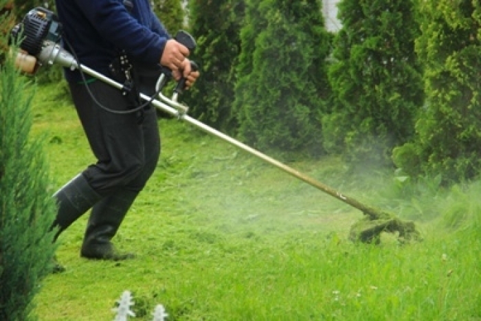 Що і де сьогодні роблять ужгородські комунальники