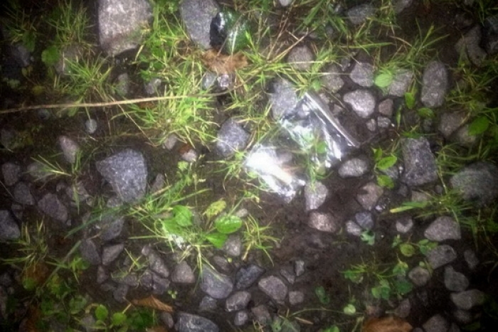 Шприц з "амфетаміном" викинув пасажир "словацької" автівки на Закарпатті