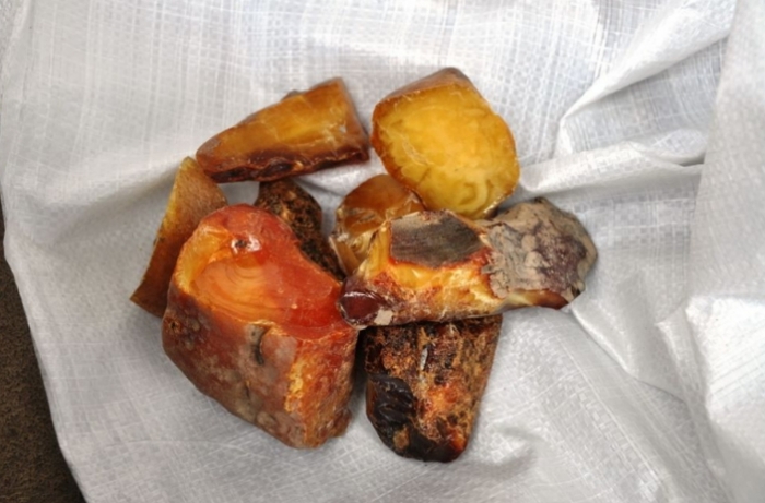 Бурштиновий контрабандист "давав на лапу" дуже мало?