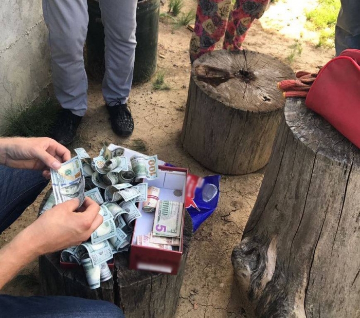 Закарпатському судді офіційно оголошена підозра у вимаганні й отриманні хабара