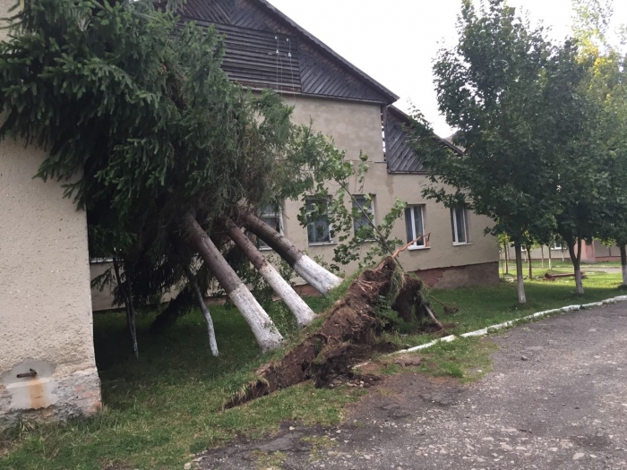 Очільник Закарпаття скликає термінове засідання "надзвичайників"
