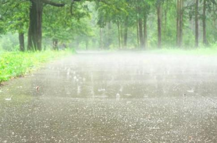 Завтра на Закарпатті мінлива хмарність з дощами