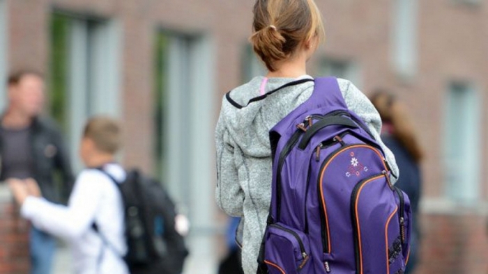 Неповнолітня дівчина, яка втекла з дому на Виноградівщині, добряче налякала бабусю