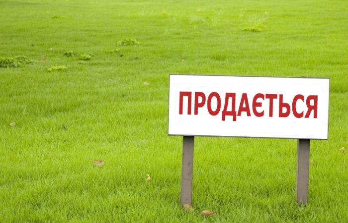 Скільки, кому і по чому продаватимуть закарпатську землю - запуск ринку