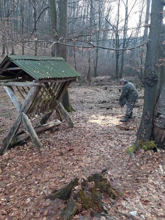 Закарпатські лісівники допомагають диким тваринам вижити взимку