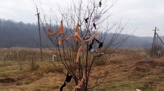 На Закарпатті новорічну красуню "нарядили" ...у жіночу спідню білизну!