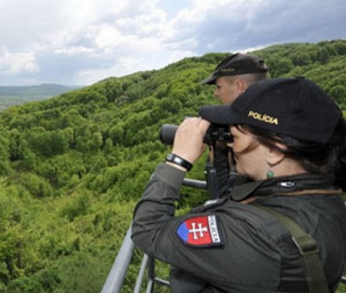 Підданим Ердогана вдалося нелегально перетнути кордон Закарпаття з Євросоюзом