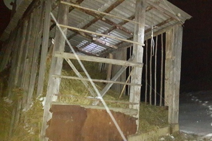 Що стало причиною самогубства сімнадцятирічного закарпатця?