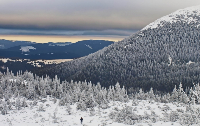 Яку погоду прогнозують синоптики на вихідні закарпатцям?