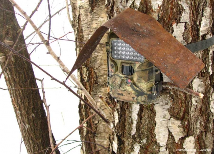 У закарпатських лісах боротимуться з порушниками за допомогою фотопасток