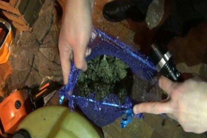 Мешканець Іршавщини у шафу ховав не одяг – наркотичну конопельку