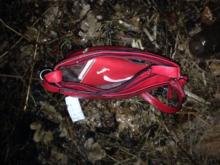 Виноградівщина: чоловік повалив на землю жінку, яка стояла на автобусній зупинці, і силою відібрав сумочку