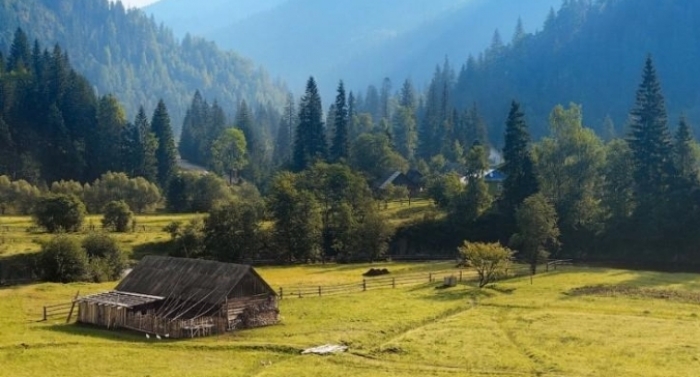 Деревина для енергії: конкурс кращих практик використання деревної біомаси для закарпатців