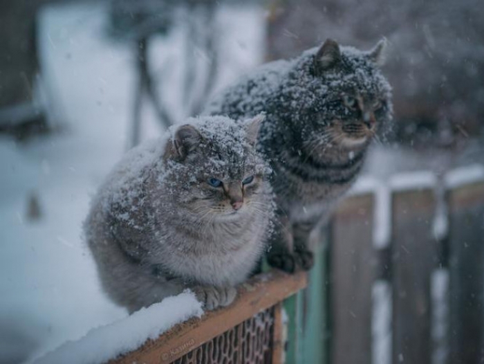 Завтра закарпатцям слід очікувати на сніжно-дощову погоду