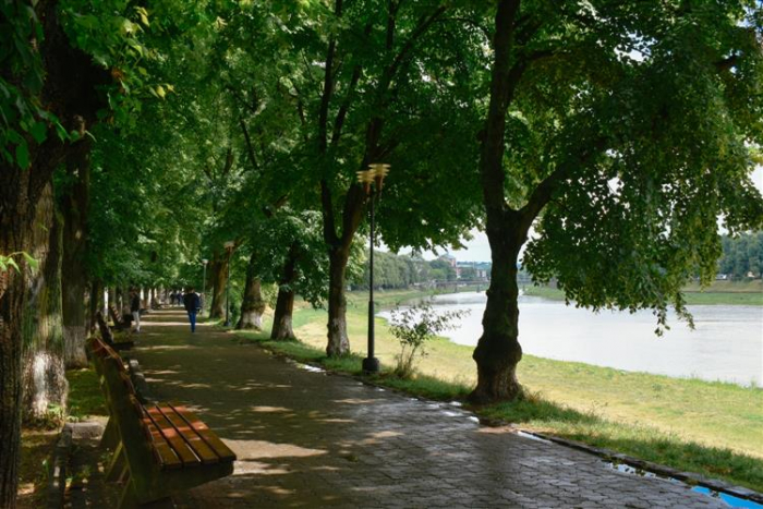 Дендролог Фелікс Гербут - про капремонт набережної Незалежності в Ужгороді: "Жодної загрози для лип немає"