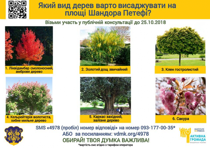 Як виглядають і чим особливі дерева, які пропонують обрати для висадки на площі Петефі
