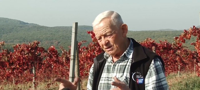 Виноградар Іван Урста: катастрофічно мало туристів цікавляться виноградною справою на Закарпатті