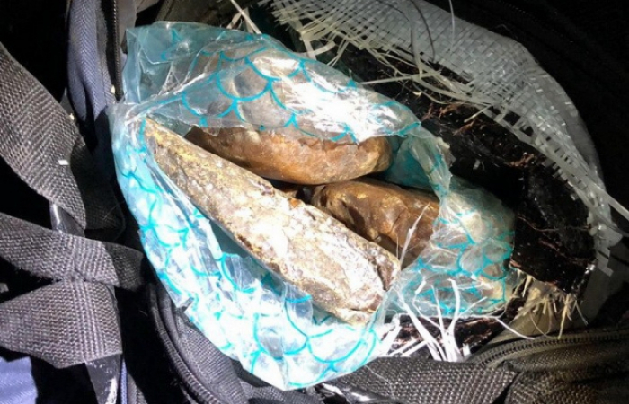 Контрабандний бурштин на Закарпатті оцінили у мільйон американських "зелених"