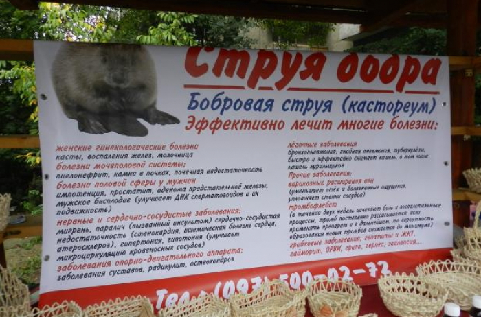 Закарпатські дива. Від хвороб вас порятує "бобровий струмінь"!