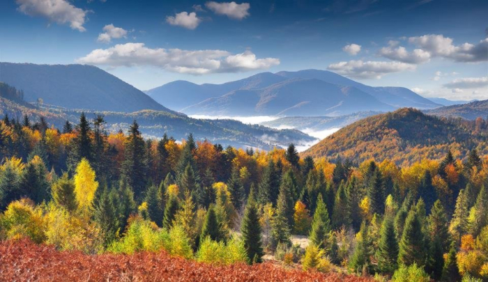 У суботу та в неділю на Закарпатті буде сонячно