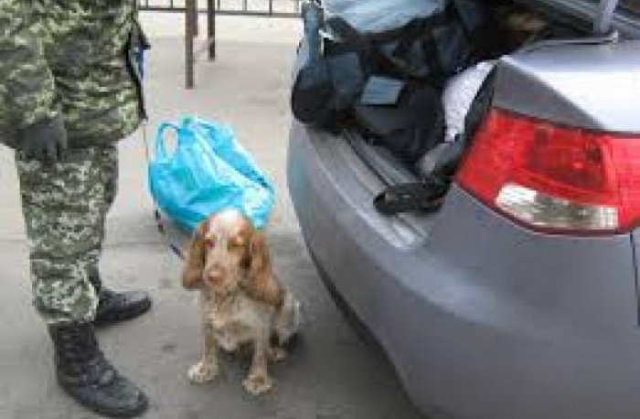 Закарпатські митники про наркотичні засоби, психотропні речовини і прекурсори