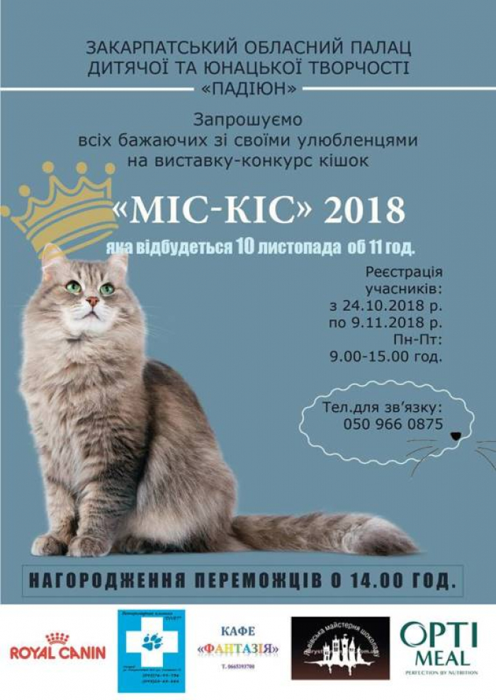 Закарпатські пухнасті хвостатики запрошуються до Ужгороду!