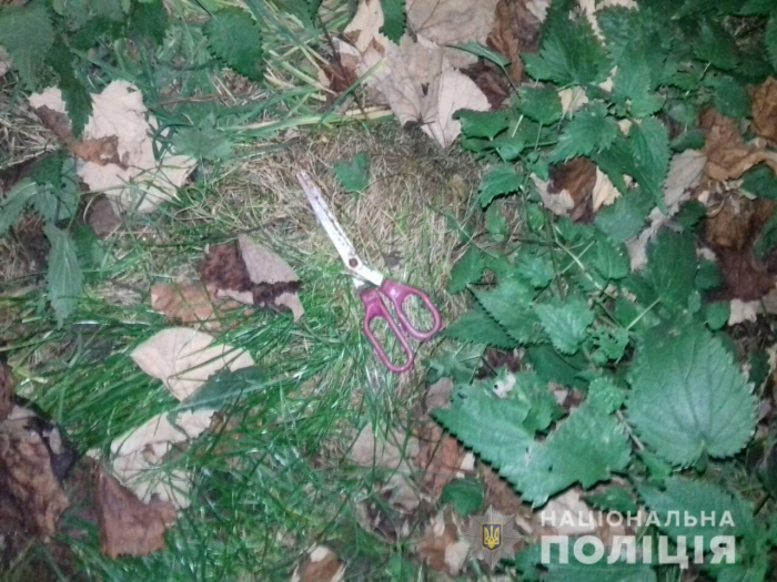 Виноградівщина: син палицею та ножицями спричинив батькові тілесні ушкодження